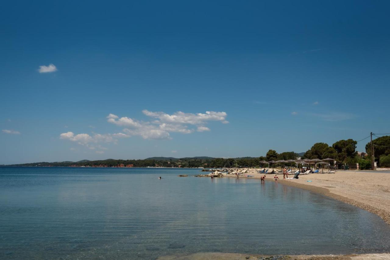 Itaka Familiy Apartments - Halkidiki Suites Com ニキティ エクステリア 写真